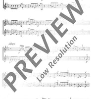 Concerto grosso G Minor - Violin Ii (solo And Rip.)