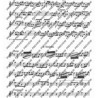 Rinaldo-Suite - Set of Parts