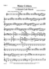 Water Critters - A Suite for String Orchestra and Optional Percussion - Violin 1