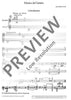 Musica da Camera - Performing Score