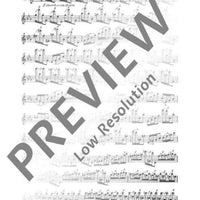 30 Virtuoso Etudes in every major and minor key