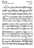 Trio '95 - Score
