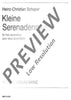 Kleine Serenadenmusik
