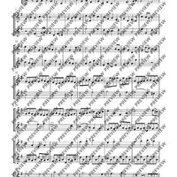 Flute Duets - Performing Score