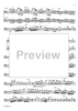 Concerto in G Minor for Basoon, Strings and Cembalo - Piano Accompaniment