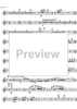 Concertino - Piccolo