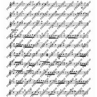 Concerto A minor - Set of Parts