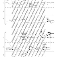 Voi(es)x métallique(s) - Performing Score