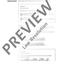 The Modern Recorder Player