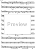 Divertimento Op.69 - Bassoon