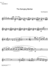 The Swinging Martian - Accordion 2