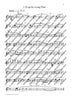 Flute Fun