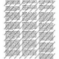 In the Rhythm of the Baroque