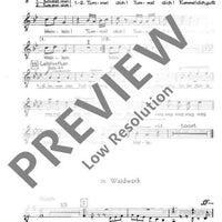 Das Jahr im Lied - Tenor