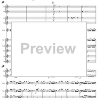 Concerto for Mandolin and Orchestra in F major - Score