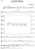 Batman Theme - from the Original Television Series - Flute