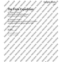 The Flute Expedition