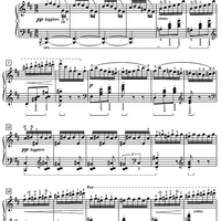 Witches' Dance (Hexentanz), Op. 17, No. 2