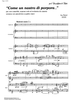 "Come un nastro di porpora..." - Score