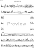 Contrabbasso concertante - Double Bass