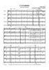 Canarios - from Suite Española for string Orchestra - Score