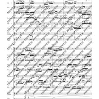 Double Concerto - Full Score