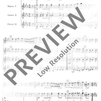 Musik der Wiener Klassik - Performing Score