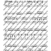 Introduction, Thema und Variationen