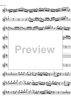 Concerto No. 2 C Major KV314 - Flute
