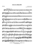Pavana Philippi - Alto Saxophone