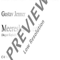 Meeresleuchten - Score