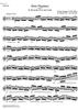Moto Perpetuo Op.11 - Score