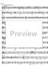Divertimento No.17 D Major KV334 - D Horn