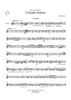Circuite Suicus - Trumpet 5