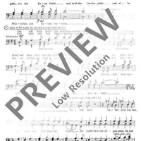 Der Zigeunerbaron - Tenor / Bass