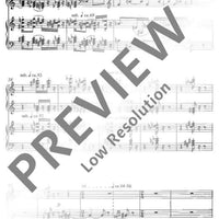 Music for two, two instruments, at the piano