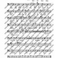 Wein, Weib und Gesang - Bass Ii