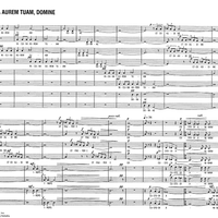 Inclina aurem tuam, Domine