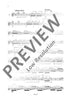 The Flutist's Progress