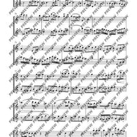 Duo concertant C major - Performing Score