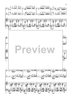 Bass Clarinet Double Concerto - Piano Reduction