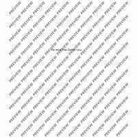 Die Serenaden - Score