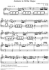 Andante in B-Flat Major [K. 5b (9b)]