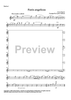 Panis angelicus - Violin 1