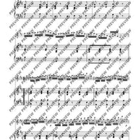 Variationen über „Nel cor più non mi sento“