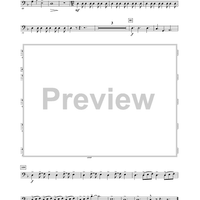 Warrior Legacy - Bassoon