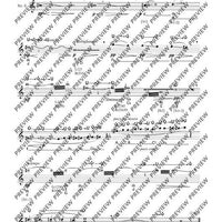 The Flute Expedition