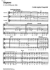 Stupore - Score