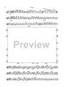 Double Concerto for Recorder and Flute in E minor - Viola