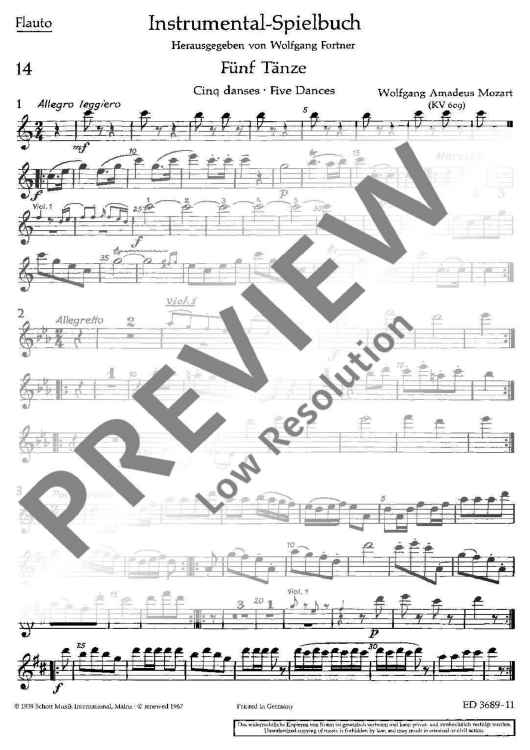 Instrumental-Play book - Flute